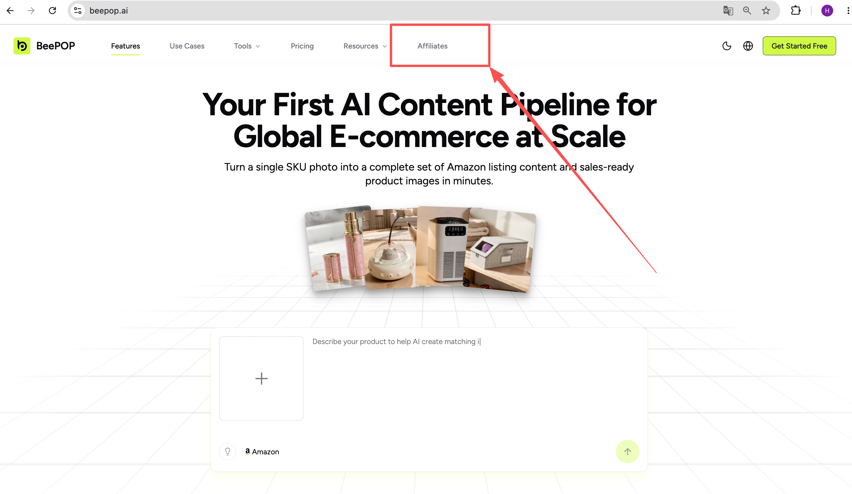 Affiliate Entry